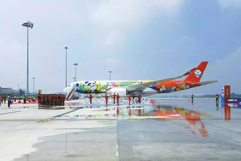 大熊猫为什么成为供品使者,大熊猫为什么受世界欢迎