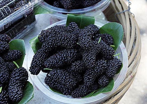 男人的肾区怎么按摩,男人的肾脏用力按摩可以吗