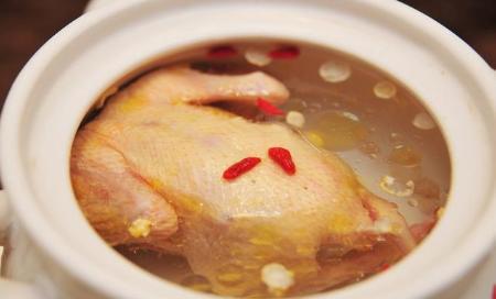 鸽子汤怎么炖最营养鸽子怎么杀,炖鸽子汤鸽子杀好后怎么处理