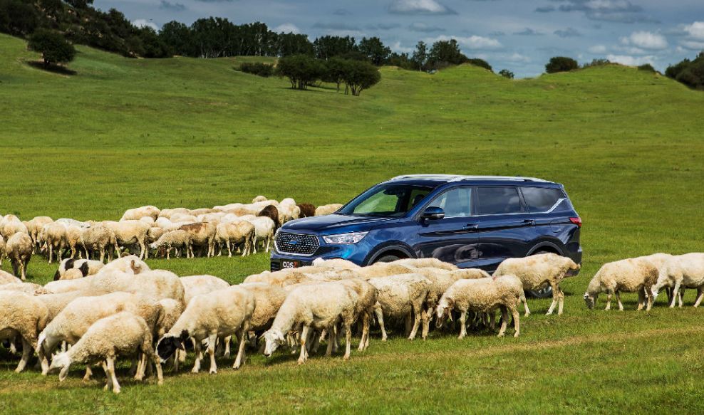 多路况实测欧尚COS1°：放心！你家最挑剔的那位都会满意