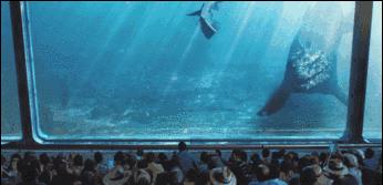 海底潜水旅行注意什么,海底潜水旅行注意事项