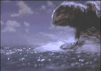 海底潜水旅行注意什么,海底潜水旅行注意事项