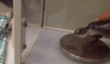 海底潜水旅行注意什么,海底潜水旅行注意事项