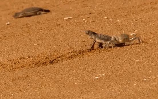 海底潜水旅行注意什么,海底潜水旅行注意事项