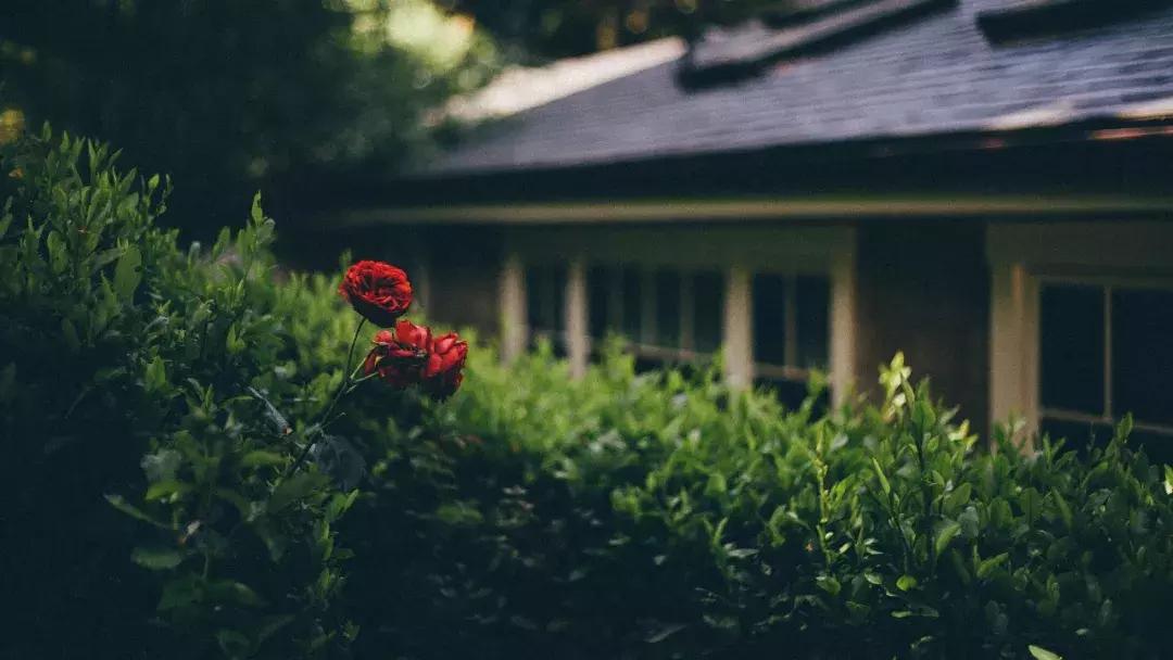 七夕节女朋友送自己小礼物了,七夕节女友送我一双鞋