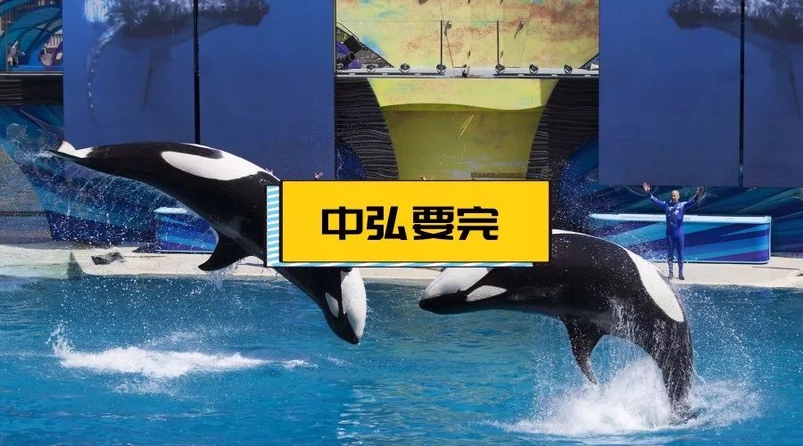 探路者业绩最新消息,探路者预计2019年净利扭亏为盈