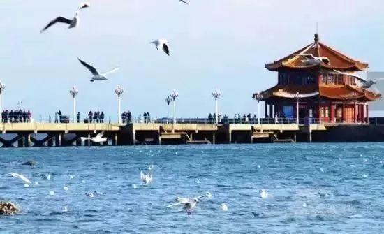 国庆温州去哪里机票便宜,温州9月特价机票