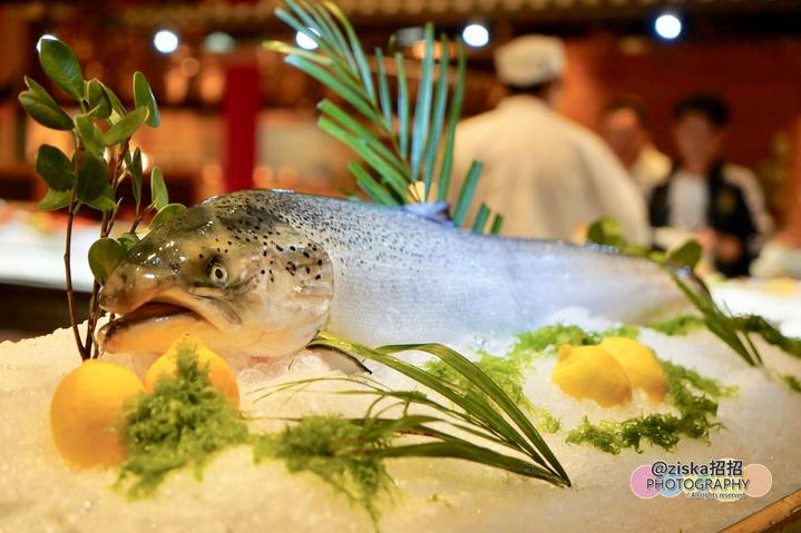 澳门之旅第四天打卡十大网红酒店,澳门值得游玩的酒店