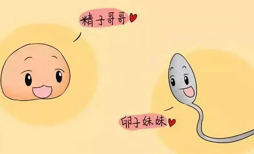 最新避孕方法,目前最新的避孕方式