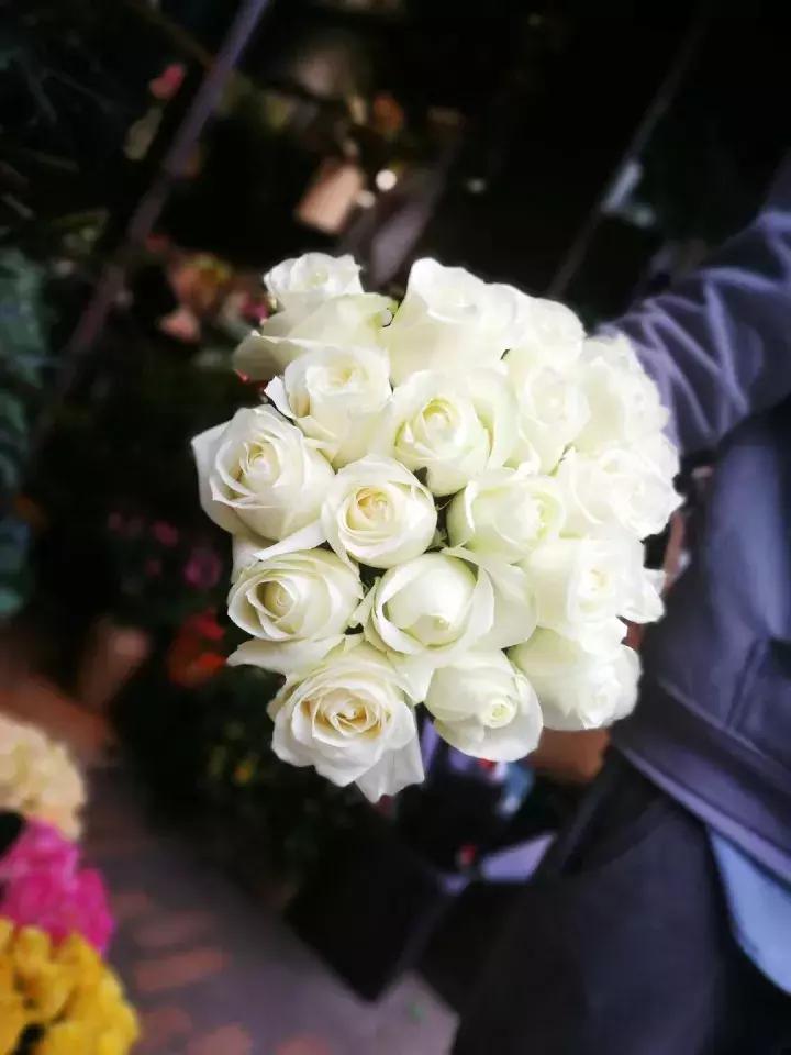 情人节玫瑰花语和图片大全,不同颜色玫瑰代表的花语