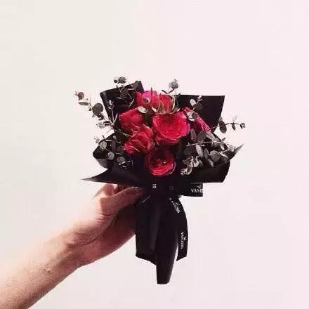 情人节玫瑰花语和图片大全,不同颜色玫瑰代表的花语