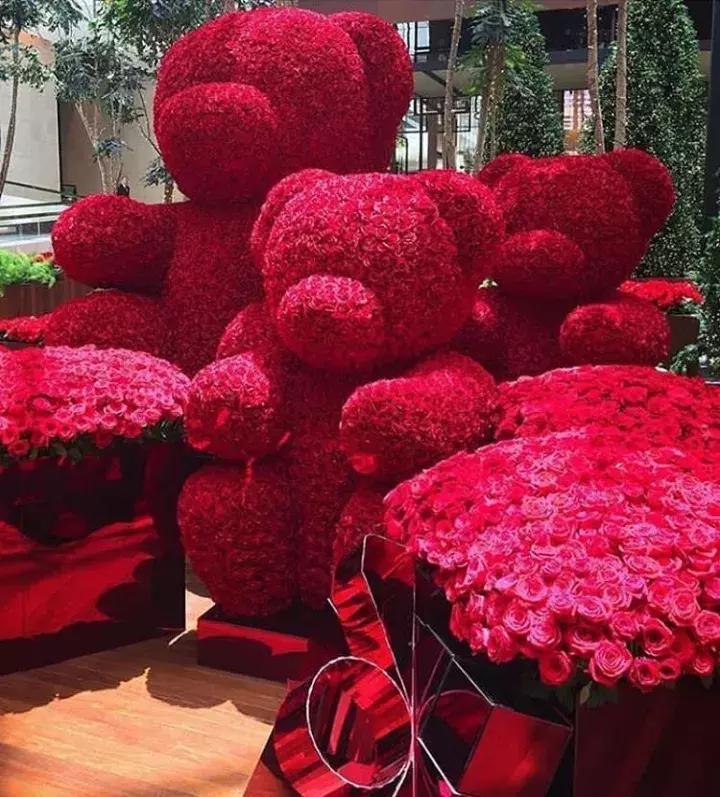 情人节玫瑰花语和图片大全,不同颜色玫瑰代表的花语