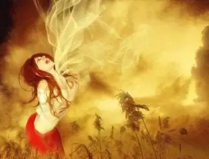 关于相机存储卡你真的了解吗,关于相机的存储卡