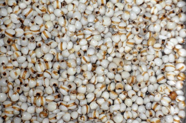 月经过后吃什么养颜补血最好,月经走后调理气色