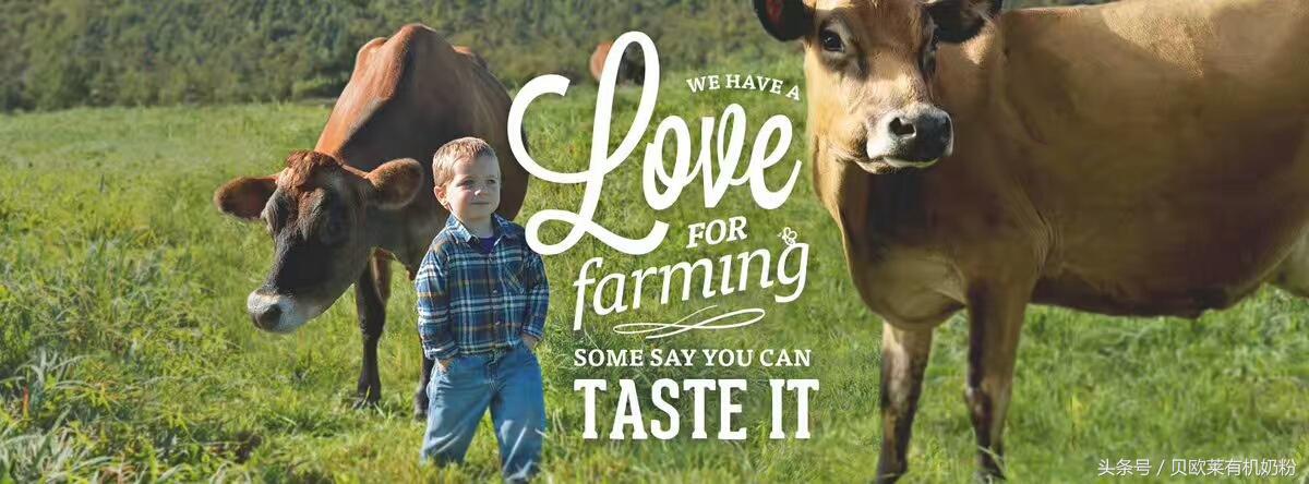 美国欧贝莱有机奶粉怎么样,贝欧莱奶粉一段测评