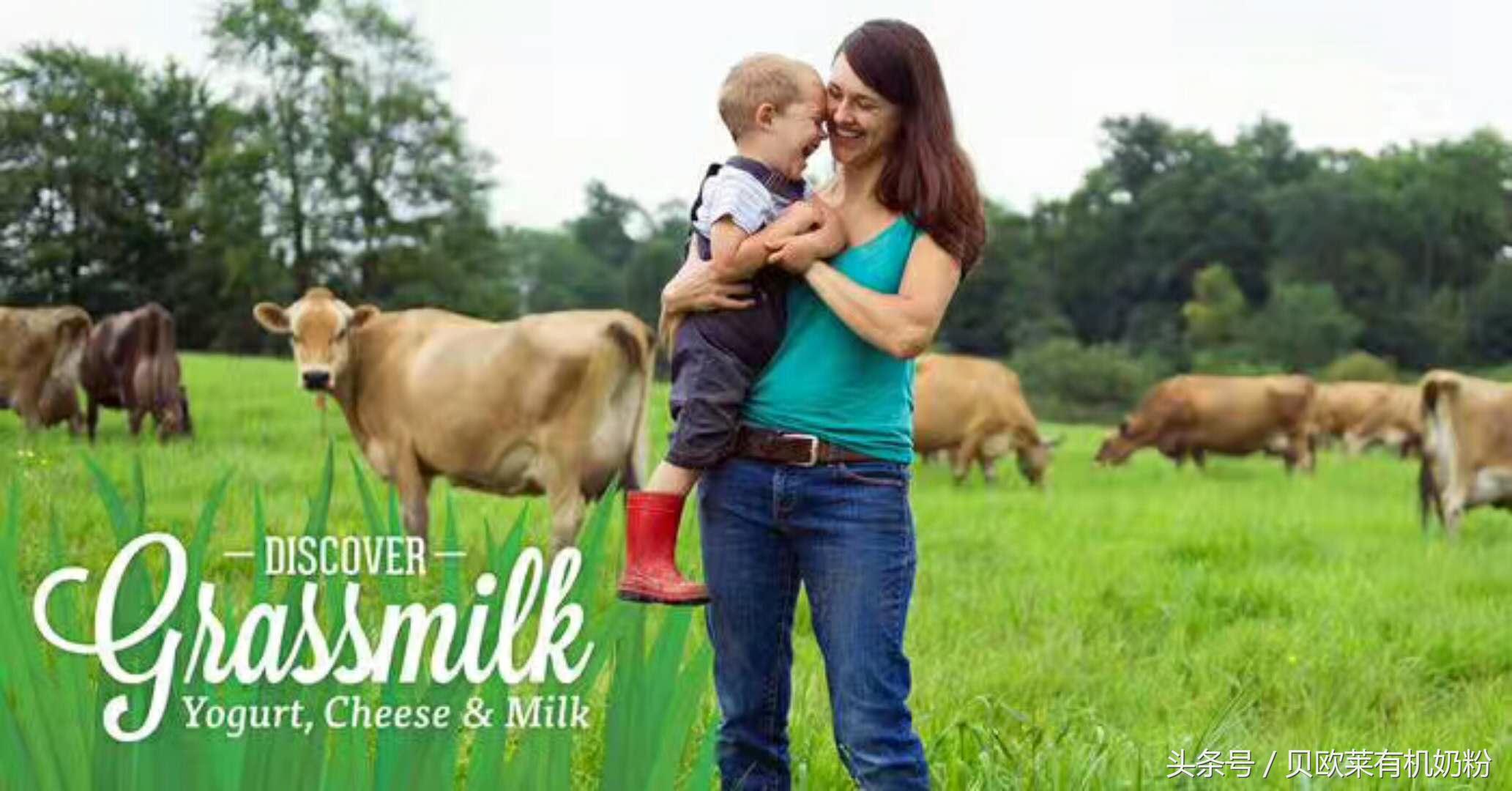 美国欧贝莱有机奶粉怎么样,贝欧莱奶粉一段测评