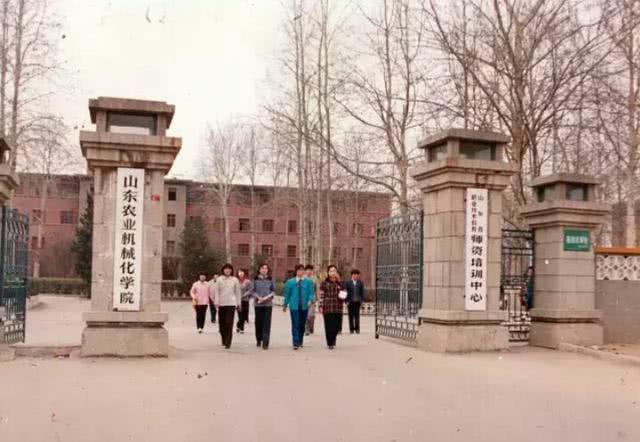 山东理工职业学院在淄博吗,山东理工大学在淄博哪个区