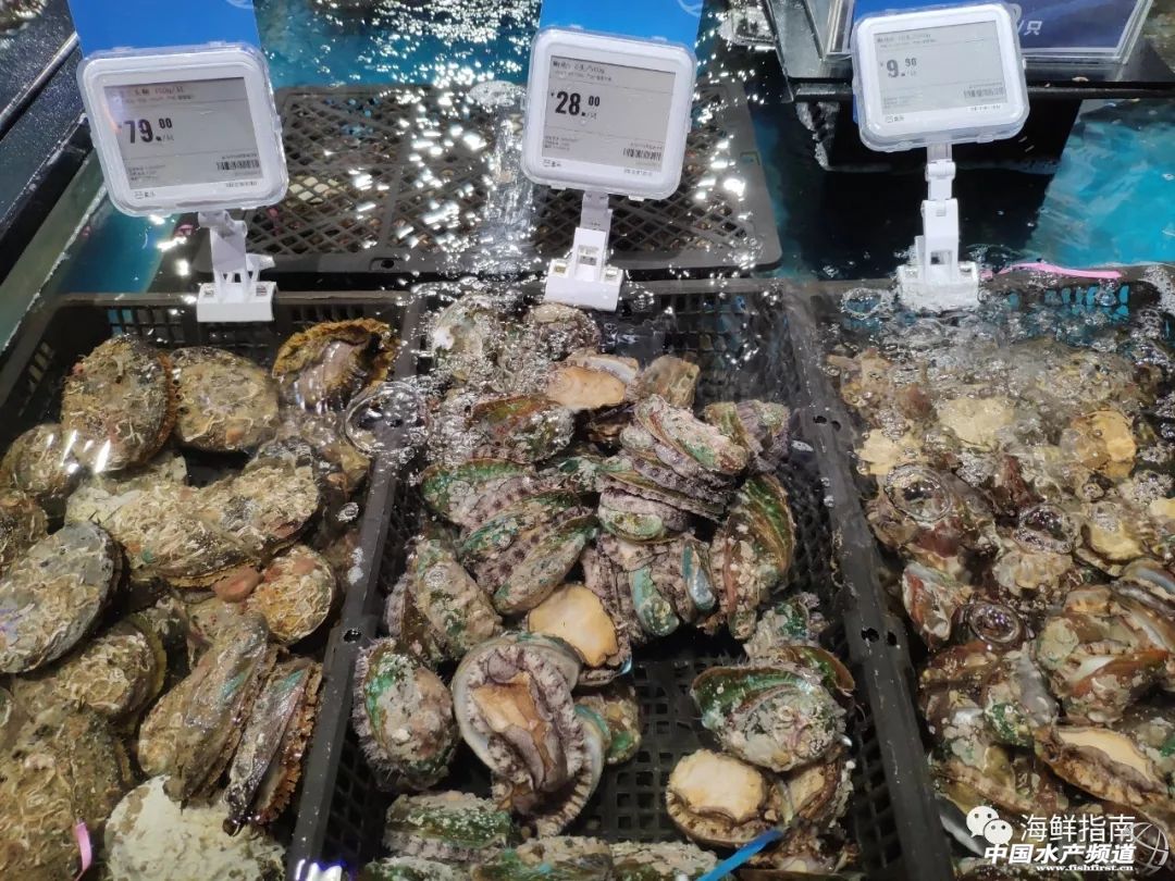 包船出海捕鱼,包船拖网捕鱼视频