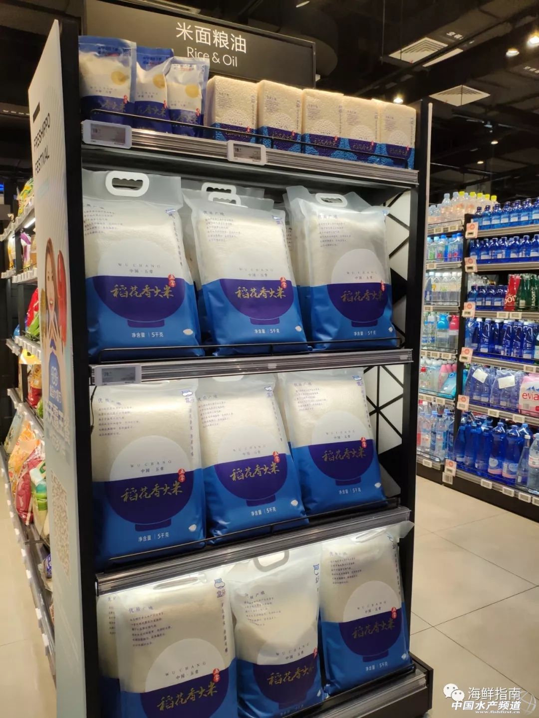 包船出海捕鱼,包船拖网捕鱼视频