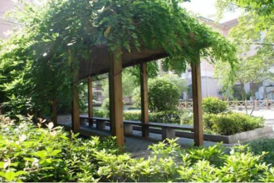 2019南昌中考学校排名,南昌市第二中学高中招生计划公布