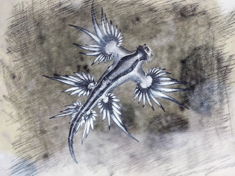 是神话厉害还是传说厉害,是神话传说还是真的有龙存在