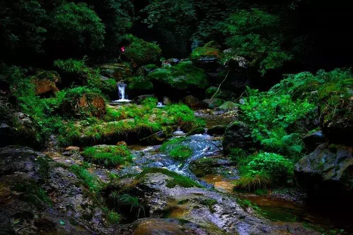 鄂西北的小县城,鄂西北的风景区