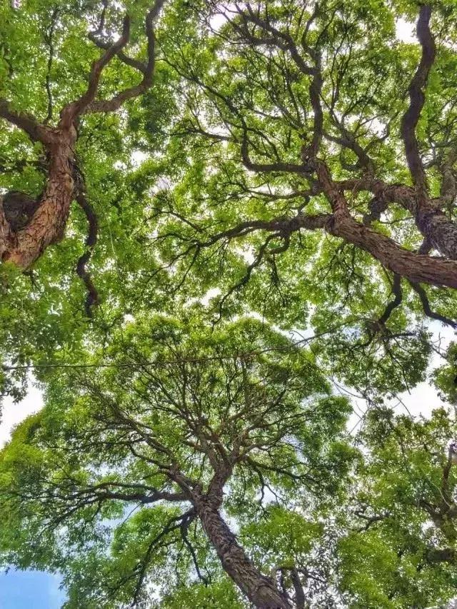 鄂西北的小县城,鄂西北的风景区
