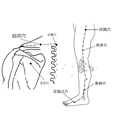 全身48个容易瘀堵的点,身体瘀堵拍打哪些穴位