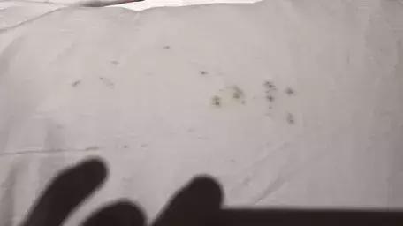 中韩对抗赛韩国队员精彩瞬间,中韩对抗赛韩国主场