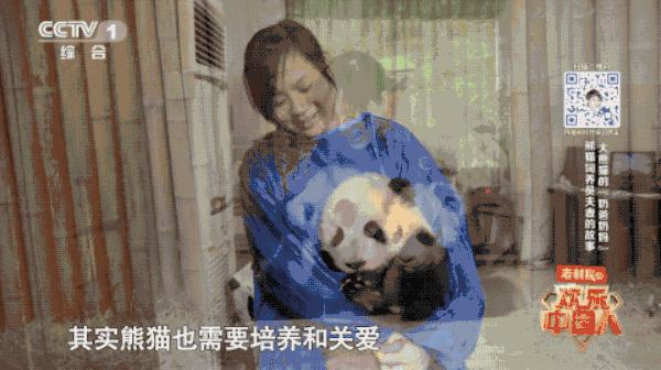 晨读一切都是最好的安排,真正的爱就是柴米油盐酱醋茶