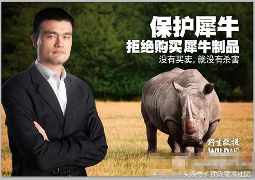 犀牛角对比图片,原生犀牛角的特征与图片