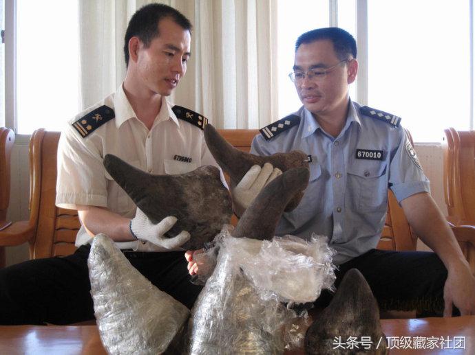 犀牛角对比图片,原生犀牛角的特征与图片