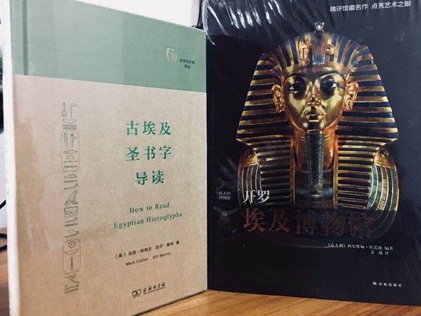 年少时的梦原文朗读,年幼时的梦