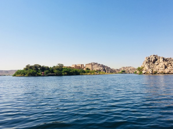 年少时的梦原文朗读,年幼时的梦