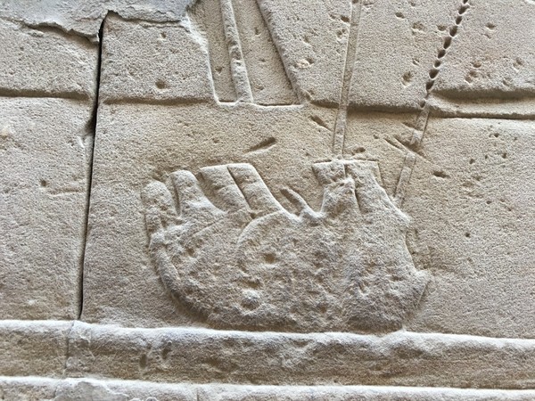 年少时的梦原文朗读,年幼时的梦