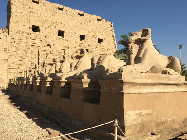 年少时的梦原文朗读,年幼时的梦