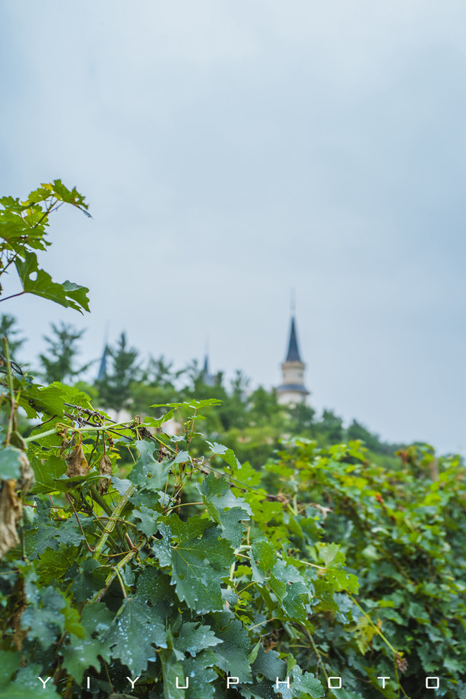 北京密云张裕爱斐堡国际酒庄心得,北京密云张裕爱斐堡国际酒庄团建