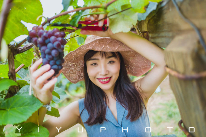 北京密云张裕爱斐堡国际酒庄心得,北京密云张裕爱斐堡国际酒庄团建