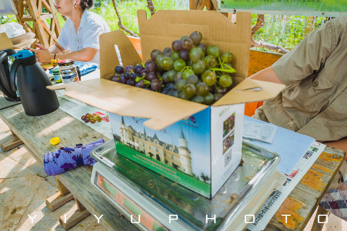 北京密云张裕爱斐堡国际酒庄心得,北京密云张裕爱斐堡国际酒庄团建