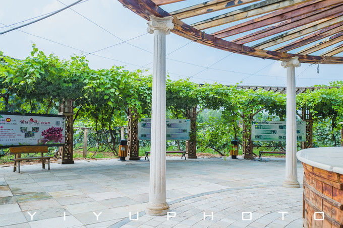 北京密云张裕爱斐堡国际酒庄心得,北京密云张裕爱斐堡国际酒庄团建