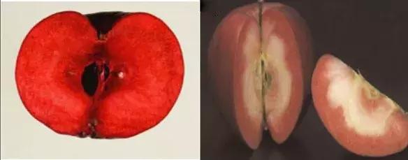 定制七夕MYB“专属礼物”——把特别的爱，送给特别的你