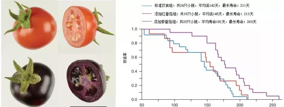 定制七夕MYB“专属礼物”——把特别的爱，送给特别的你
