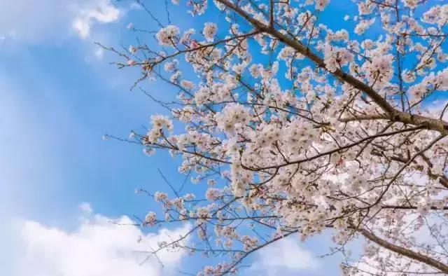 庆祝改革开放40周年邮册,改革开放40周年光荣册