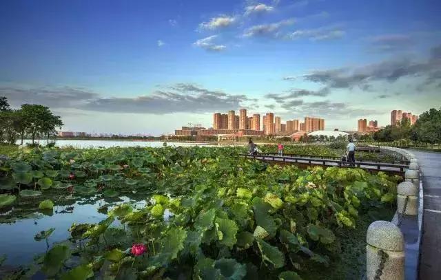 庆祝改革开放40周年邮册,改革开放40周年光荣册