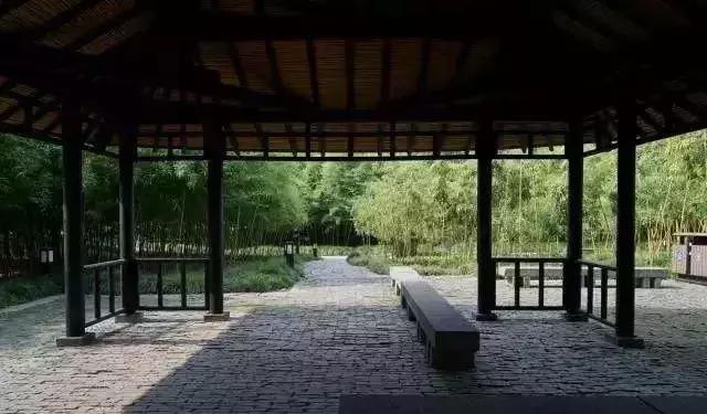 上海这三座公园将向市民免费开放,上海公共景观