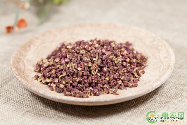 花椒种植有哪些方法,花椒的种植方法和技术