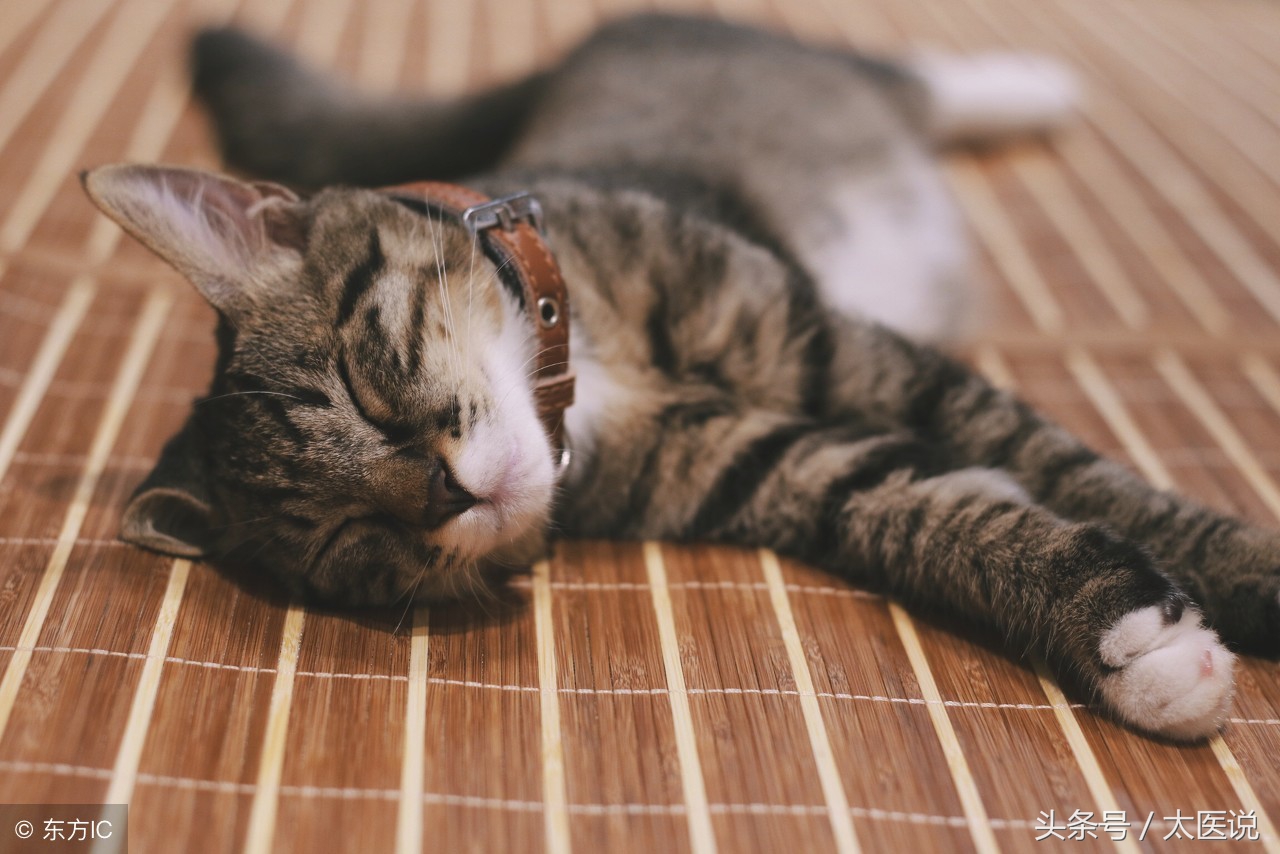 空调使用知识小窍门,空调使用指南如何更节能省电