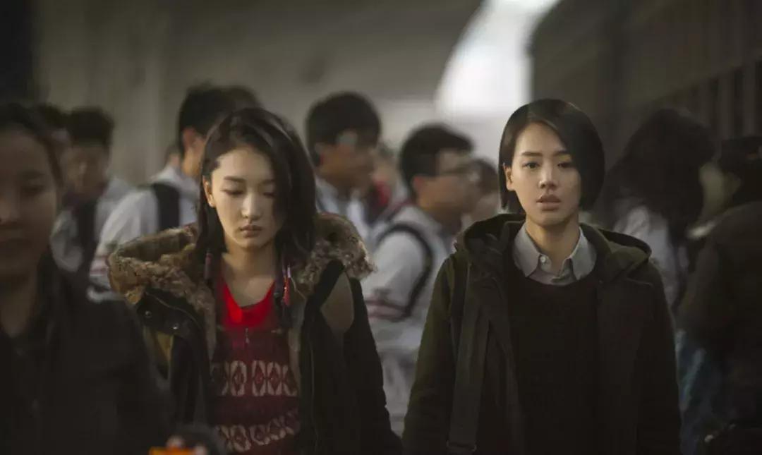 我们的女同学：学霸成了剩女，学渣做了微商