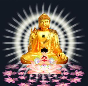 怎么知道自己的本命佛,怎么知道自己的本命佛是什么