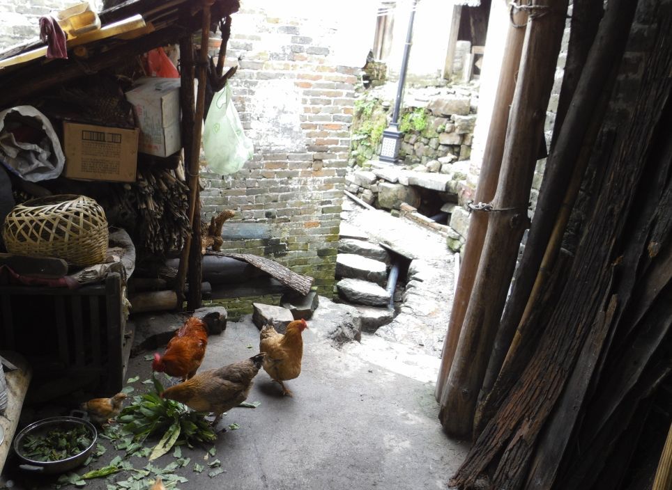 电影《舞动吧！少年》再现乡村轶事，忆那些年青涩时光